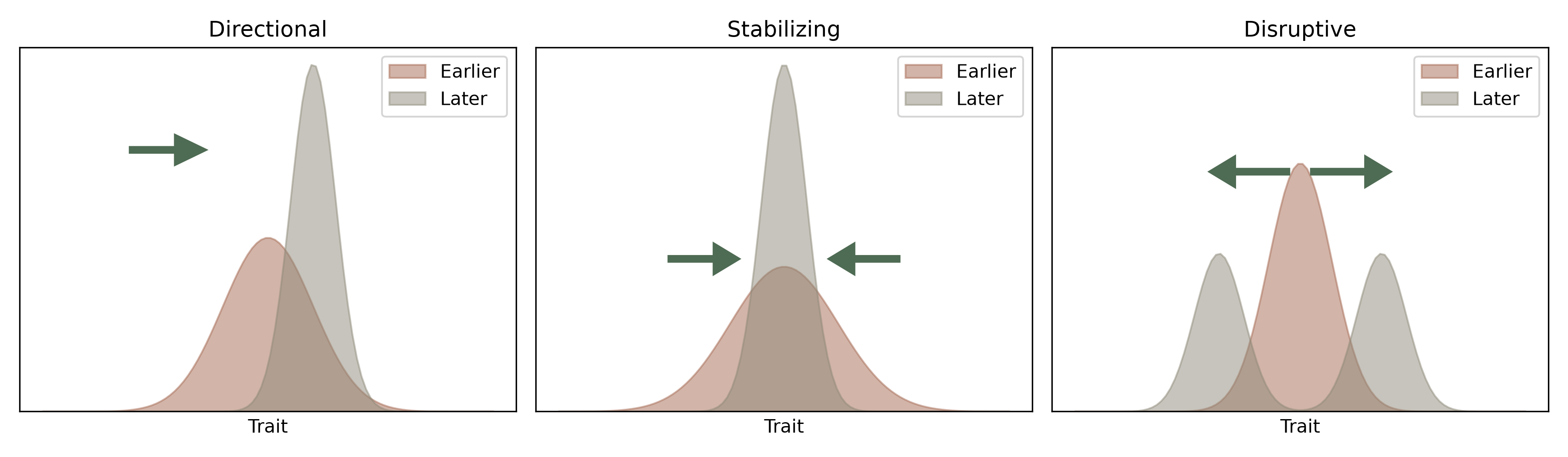 Directional, stabilizing, and disruptive selection